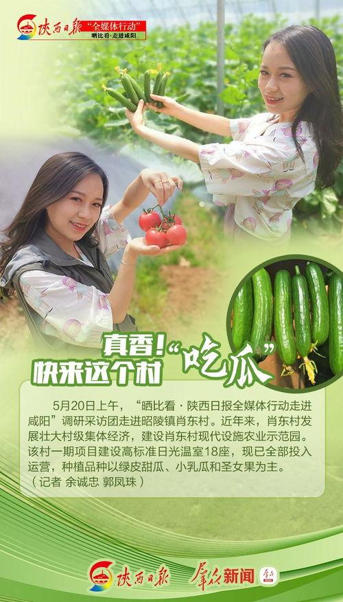 吃瓜真香小说免费阅读,揭秘小说中的甜蜜诱惑与情感纠葛